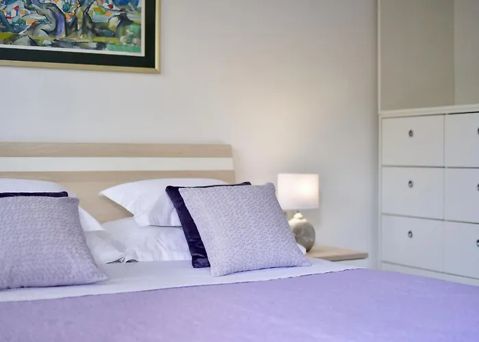 Inka And Comfy * זאדאר