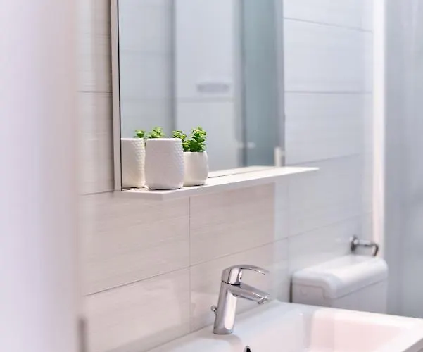 Inka And Comfy * זאדאר