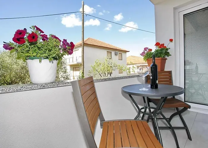 Inka And Comfy * זאדאר